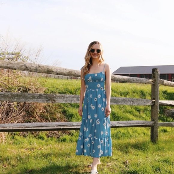 Reformation Sky Blue Daisy Midi Dress - Picture 14 of 16